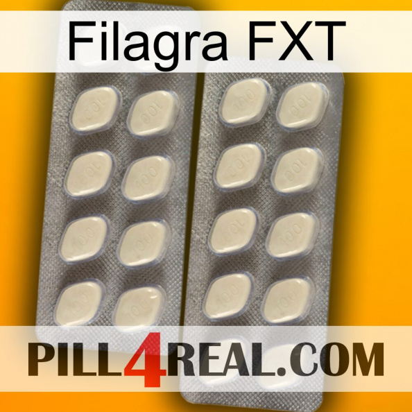 Filagra FXT 07.jpg